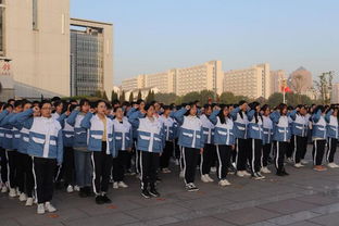 作文,升國(guó)旗,校園,活動(dòng)