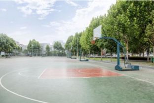 校園里有這樣一個地方作文500字