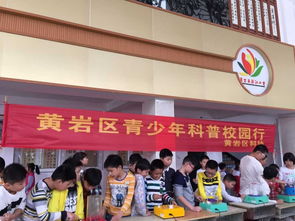 科普宣傳進(jìn)校園作文