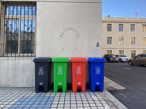 作文,垃圾,校園,分類