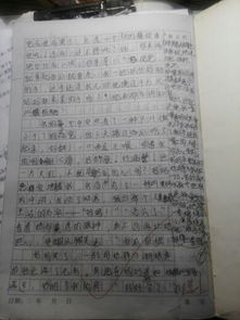 校園里的感動作文,校園的感動的事作文600字,感動的事作文800字