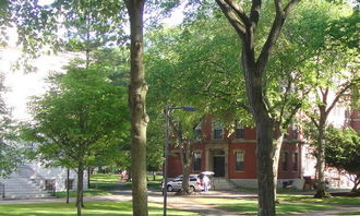 作文,新鮮事,校園