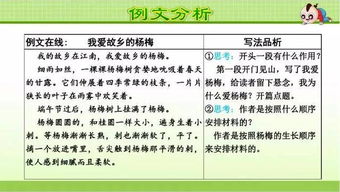 三級(jí)我們眼中的繽紛校園作文