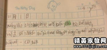 作文,運動會,校園