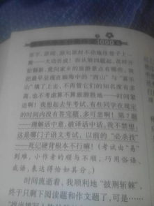 校園淘寶大會作文350字