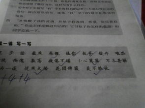 校園里的花草作文兩百字