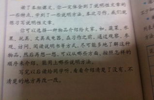 說(shuō)明文,作文,校園