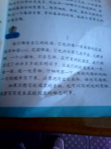 校園的一角作文100字二級(jí)