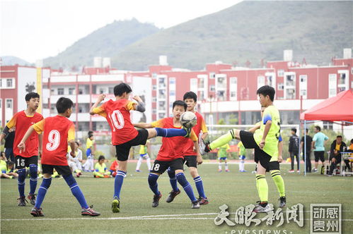 足球走進(jìn)校園獲獎(jiǎng)作文