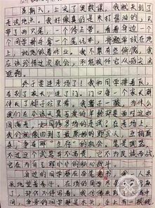 小學生作文詩歌對校園的美好情感