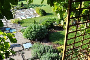 校園的花壇相關(guān)作文