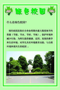 我是綠色校園設(shè)計師作文800