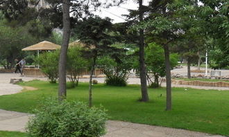 重回中學(xué)校園中學(xué)生作文