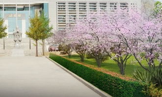 秋天校園景色作文200字三年級,秋天校園景色作文500字,秋天校園景色作文300字