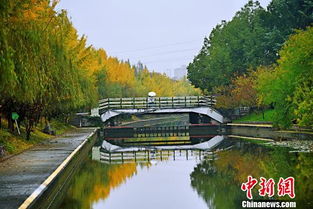 作文,初冬,小學(xué),校園