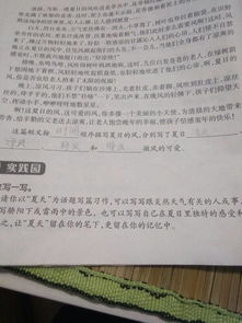 以夏天為主題寫一篇作文,圍繞夏天寫一篇作文,寫一篇關(guān)于夏天的作文