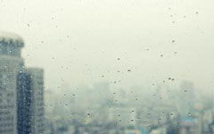 校園窗外風(fēng)景作文500字