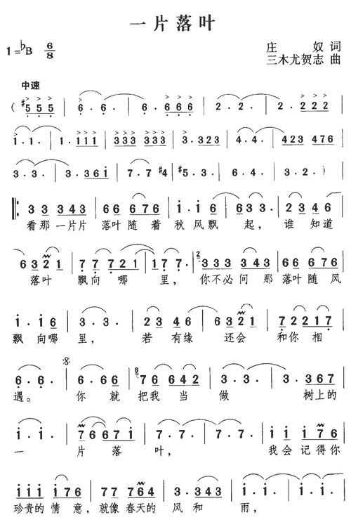 一片落葉經(jīng)過校園作文