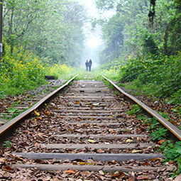 美麗校園大學(xué)作文冬日