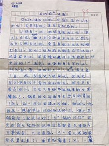 關(guān)于實驗二小的美麗的校園的作文,美麗的校園300字,美麗的校園作文400字四年級
