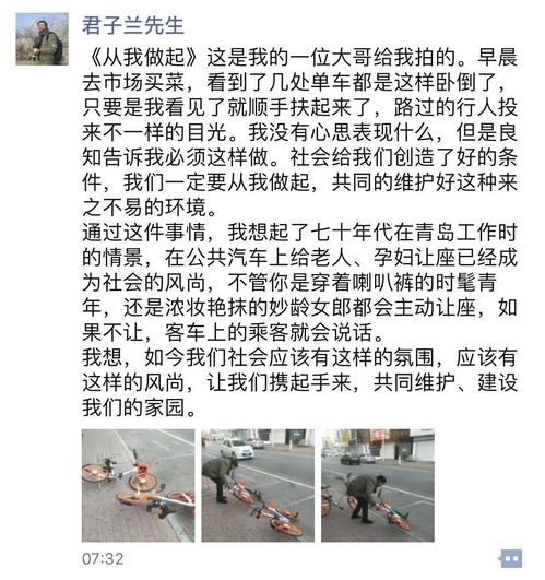 作文,愛護(hù),校園,一草一木