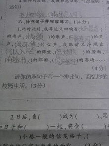 回想你的校園生活作文100字