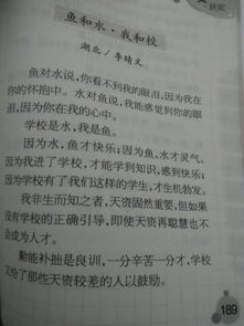 催淚作文校園帶給了我快樂