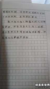 難忘的校園奧運(yùn)會(huì)作文