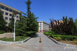 校園春光大學(xué)作文