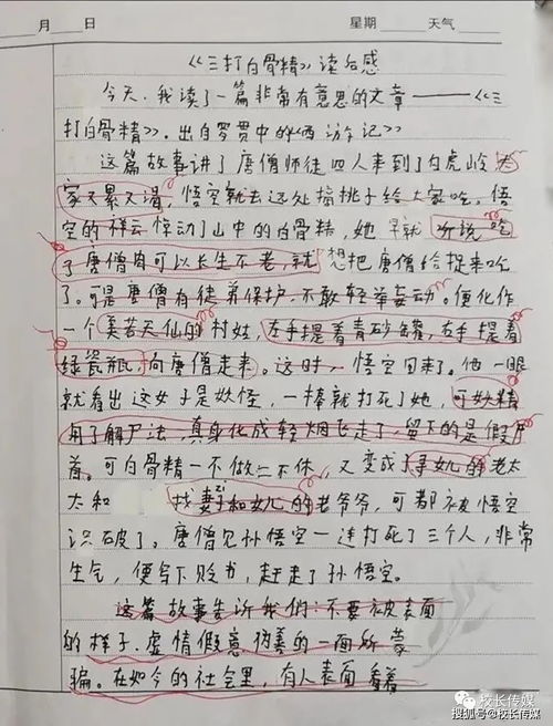 友誼讓生活充滿詩(shī)意作文,友誼讓生活充滿詩(shī)意作文600字,友誼讓生活充滿詩(shī)意作文800字
