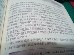 校園色彩作文700字左右