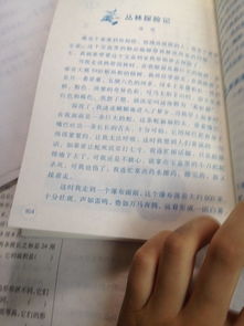 介紹校園的作文50字,校園活動的作文50字,我的校園作文50字以下