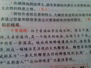 作文,生態(tài),校園,設計