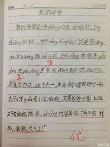 小學(xué)生校園里賞花燈作文