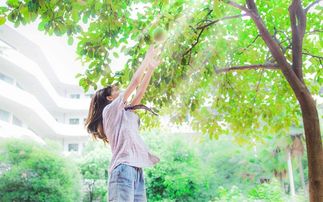 校園風景周記600字作文