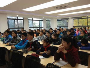 校園里感人的故事作文