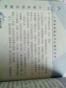 關(guān)于校園一景的作文800字,關(guān)于校園一景的作文300字左右,關(guān)于校園一景的作文600字