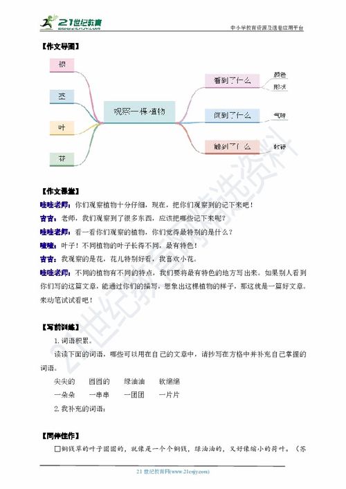 作文,植物,觀察,校園