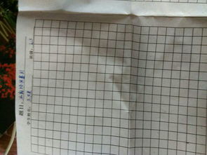 校園暴力日記500字作文