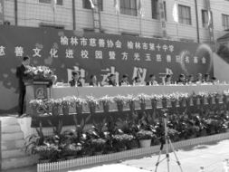 關(guān)于慈善文化進校園的作文