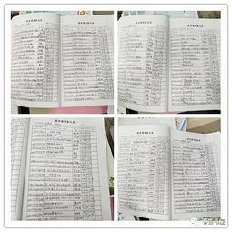 作文,校園,圖書