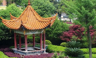 描寫校園里的涼亭作文