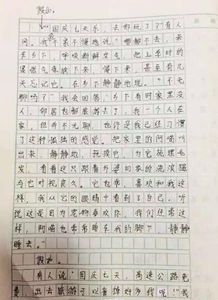 小學(xué)校園國慶節(jié)作文