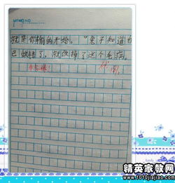 四級作文我們的校園評語集錦