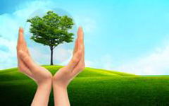 我與校園共成長(zhǎng)作文700字