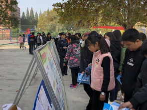 毒品教育活動進校園作文