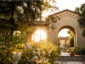 作文我愛美麗校園開頭語