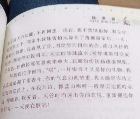 校園的景色六百字左右作文