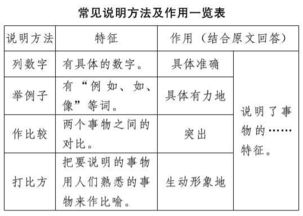 關(guān)于校園說明性作文