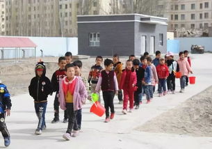 綠色校園我們?cè)谛袆?dòng)作文